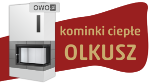 Kominki Olkusz - projekt kominka
